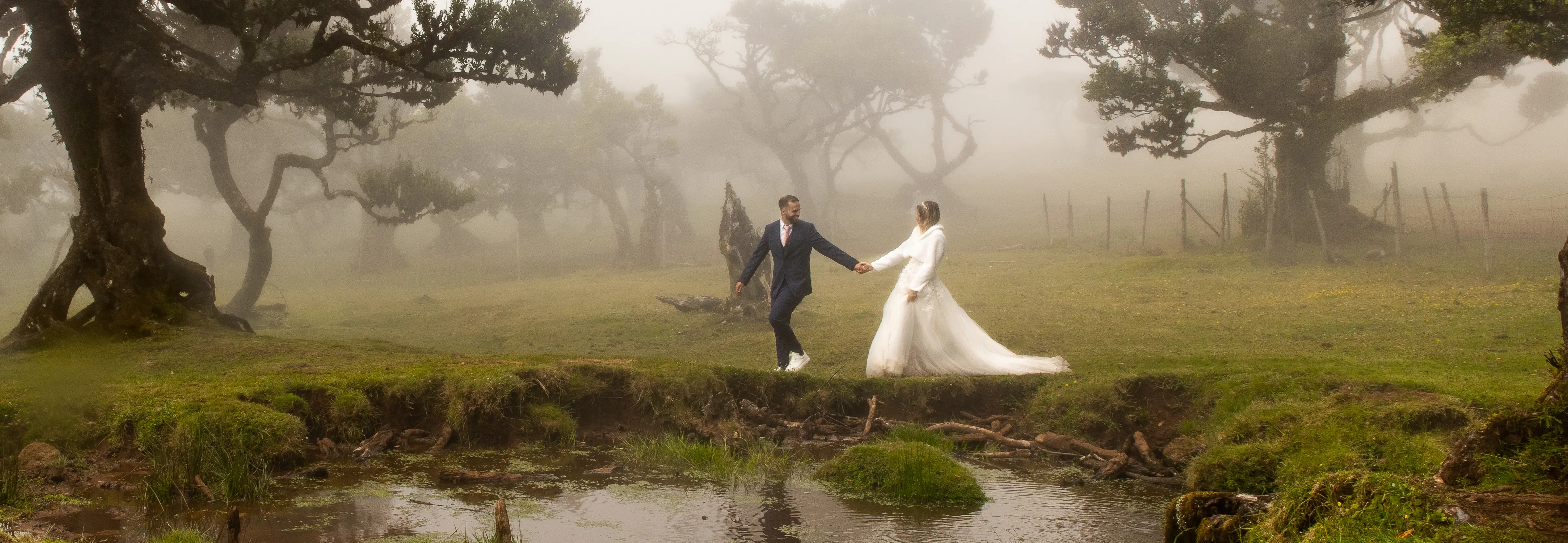 Trash the Dress header picture